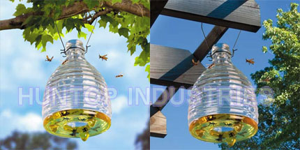 Glass Hanging Wasp and Bee Traps